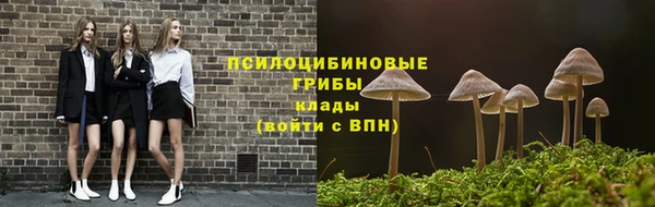 эйфоретик Новозыбков