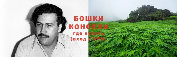 эйфоретик Новозыбков