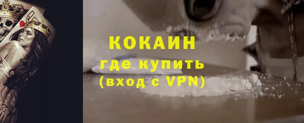 спиды Новодвинск
