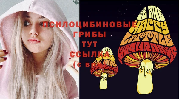 эйфоретик Новозыбков