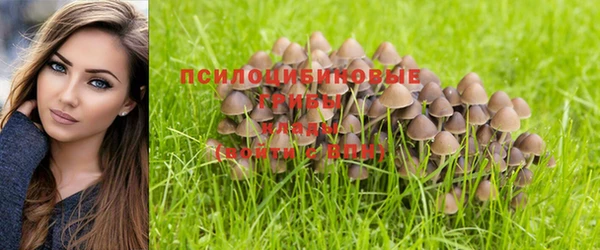 гидра Нязепетровск
