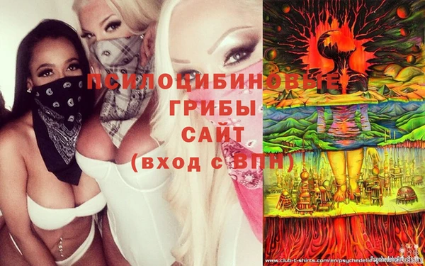бутират Няндома