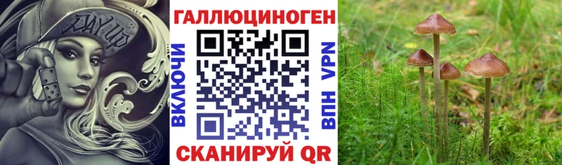 ОМГ ОМГ рабочий сайт  продажа наркотиков  маркетплейс клад  Псилоцибиновые грибы GOLDEN TEACHER  Красноперекопск 