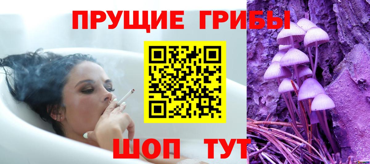 Псилоцибиновые грибы Cubensis Красноперекопск
